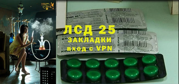 прущие грибы Аркадак