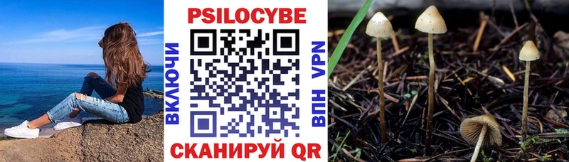 Псилоцибиновые грибы Cubensis Никольское